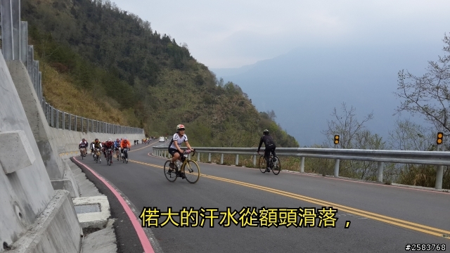 NeverStop塔塔加~粉領族單車進化記