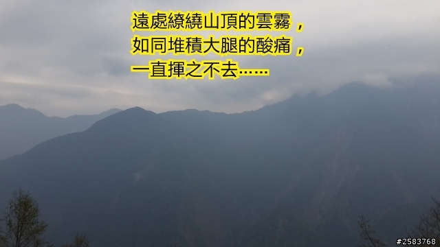 NeverStop塔塔加~粉領族單車進化記