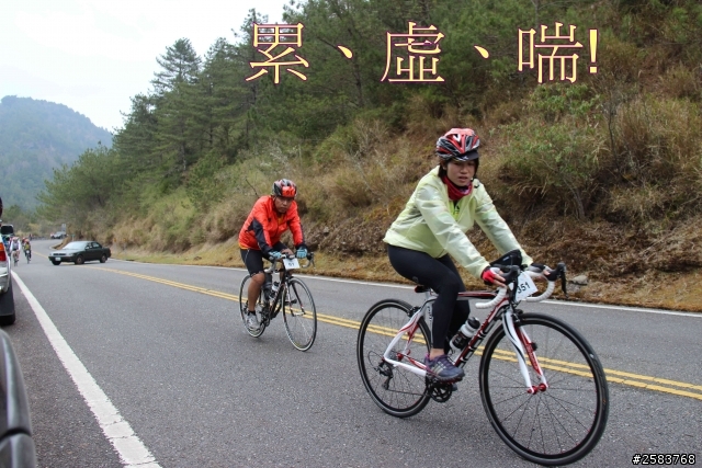 NeverStop塔塔加~粉領族單車進化記