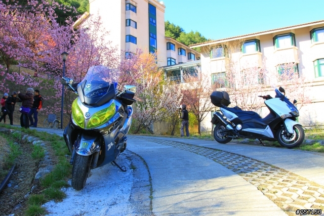 秉持舒適長途旅行"シャオ犬" Maxsym 400i ABS (偶爾更新)圖多