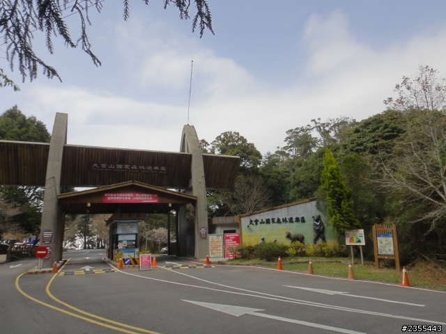 漫遊台中新社與大雪山林道,發現吉野櫻的尋花之旅(下)