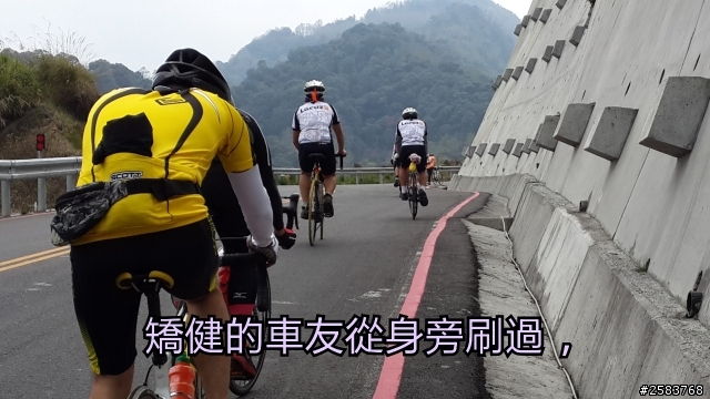 NeverStop塔塔加~粉領族單車進化記