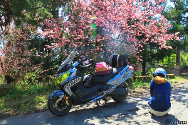 秉持舒適長途旅行"シャオ犬" Maxsym 400i ABS (偶爾更新)圖多
