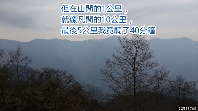 NeverStop塔塔加~粉領族單車進化記