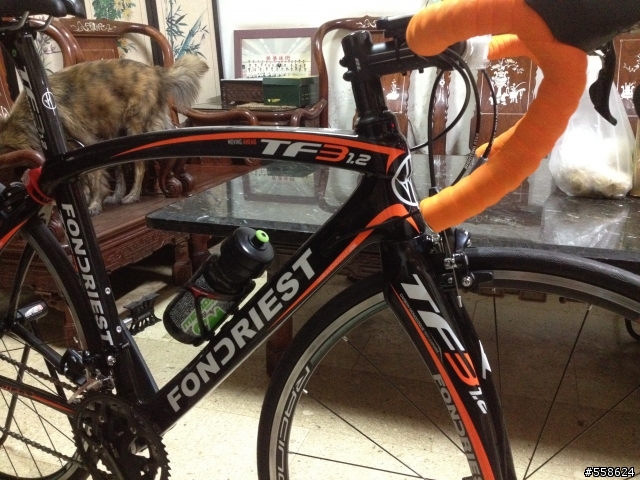 人生第一台公路車 Fondriest tf3 1.2