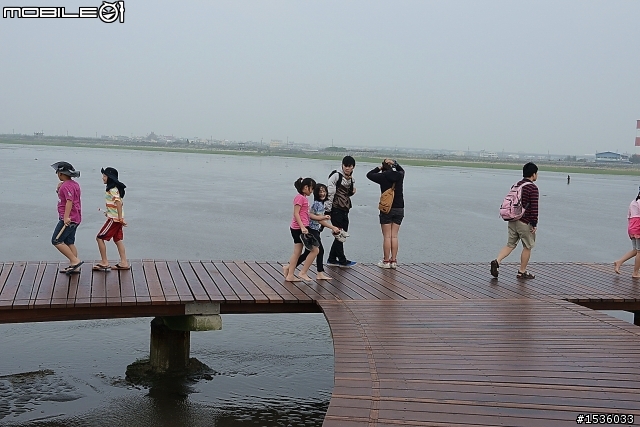 高美濕地半日遊