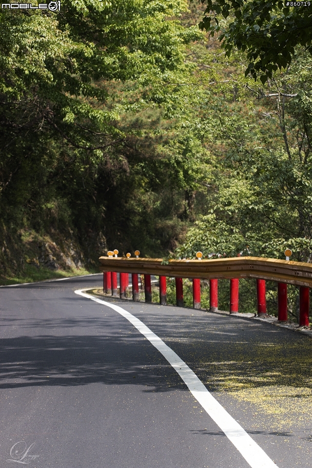 神秘客山路大蒐集--台灣8字型山線環島五日遊