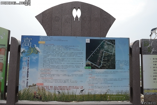 高美濕地半日遊