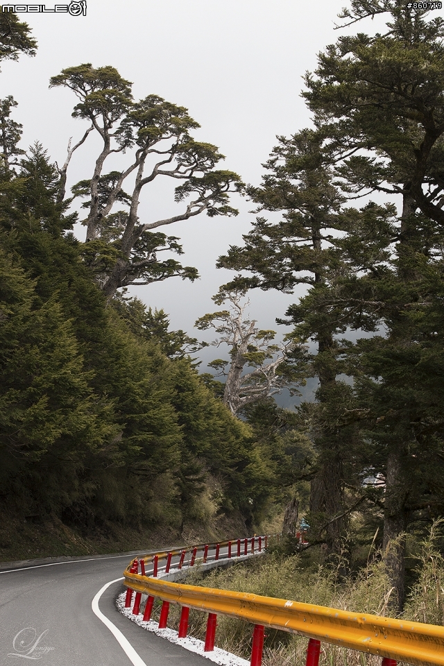 神秘客山路大蒐集--台灣8字型山線環島五日遊
