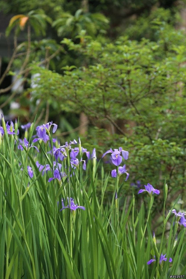 Kenko Teleplus PRO 300 DGX 1.4x AF Teleconverter 二手開箱