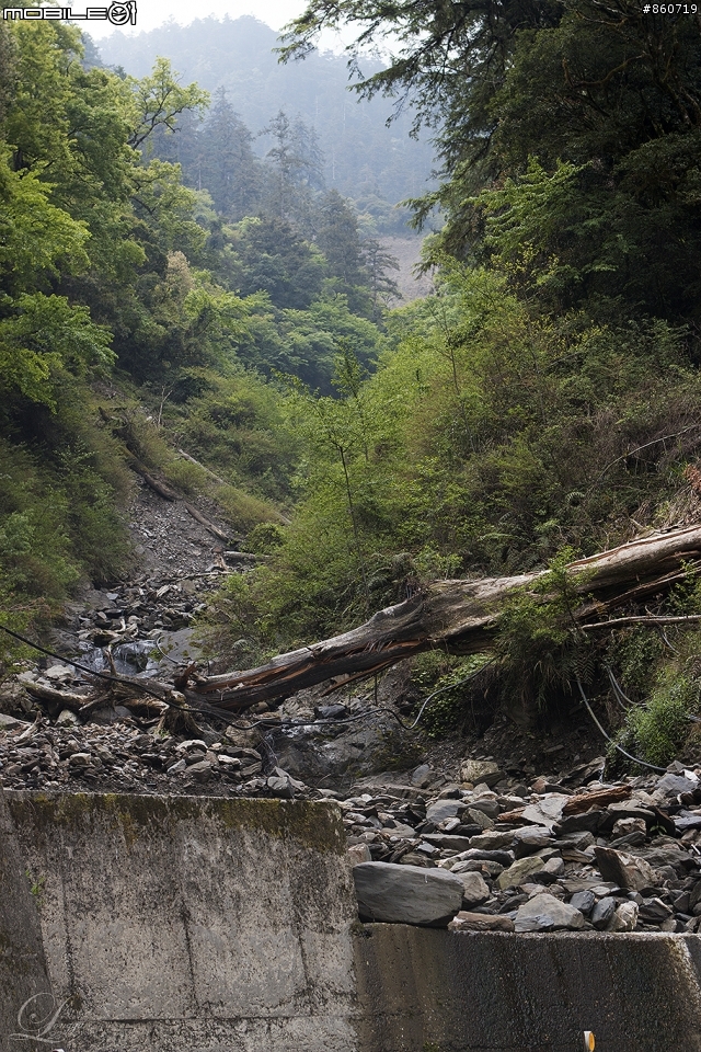 神秘客山路大蒐集--台灣8字型山線環島五日遊