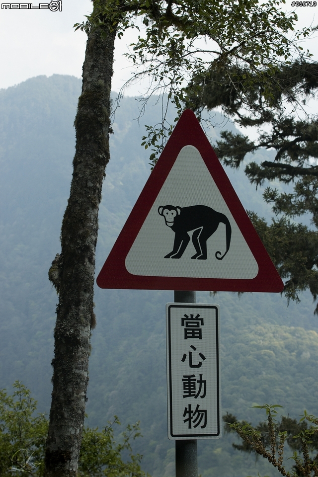 神秘客山路大蒐集--台灣8字型山線環島五日遊