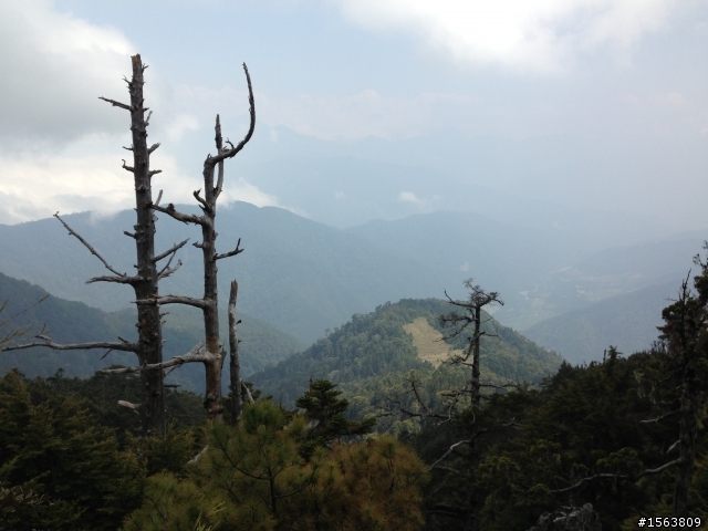 武陵三秀單日攻(桃山,詩崙山,喀拉業山,池有山,沒去品田山)