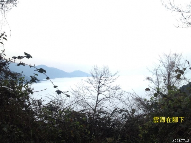 臺灣縱騎-中橫支線+中橫+合歡山+武嶺+新中橫+阿里山