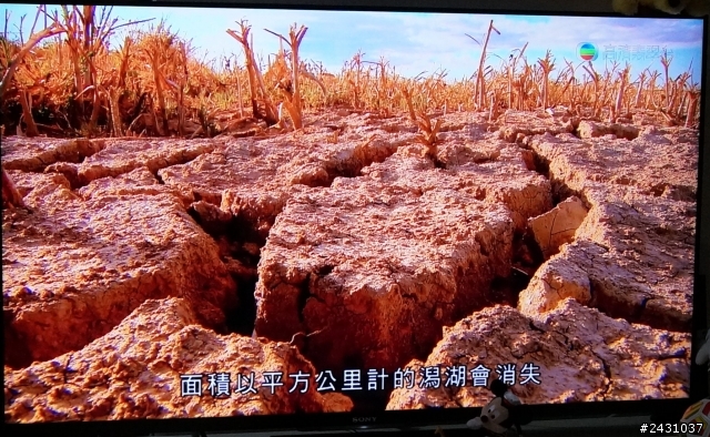 (開箱)便宜高畫質Sony BRAVIA 50W800B