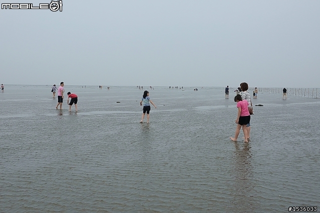 高美濕地半日遊