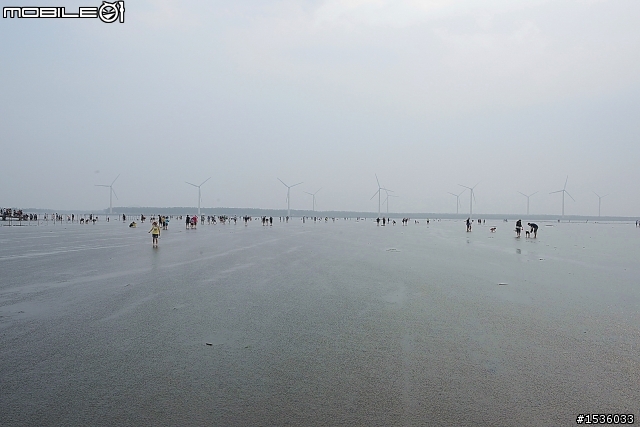 高美濕地半日遊