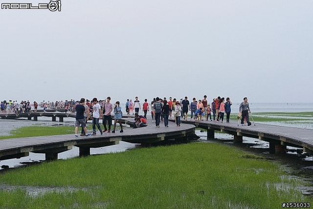 高美濕地半日遊