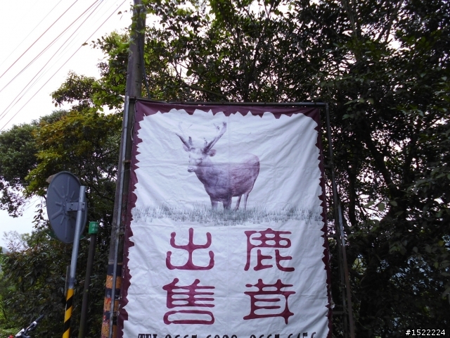 事在人為,永不放棄~這是我的環島夢