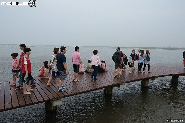高美濕地半日遊
