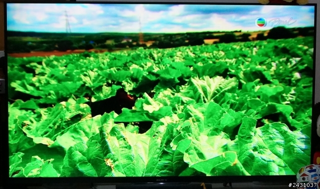 (開箱)便宜高畫質Sony BRAVIA 50W800B