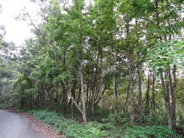 親子旅遊-大武達仁3日遊(2)