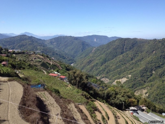 臺灣縱騎-中橫支線+中橫+合歡山+武嶺+新中橫+阿里山