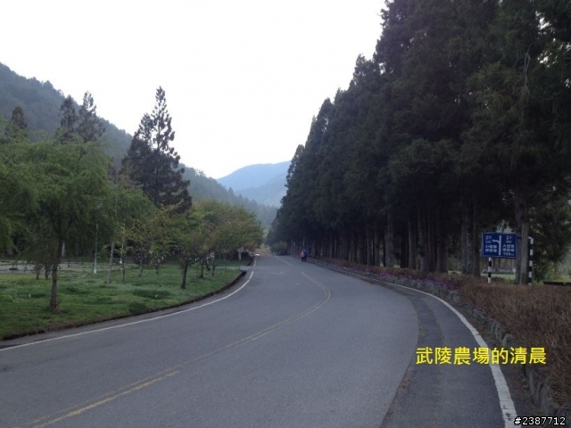 臺灣縱騎-中橫支線+中橫+合歡山+武嶺+新中橫+阿里山
