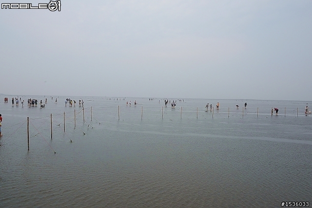 高美濕地半日遊