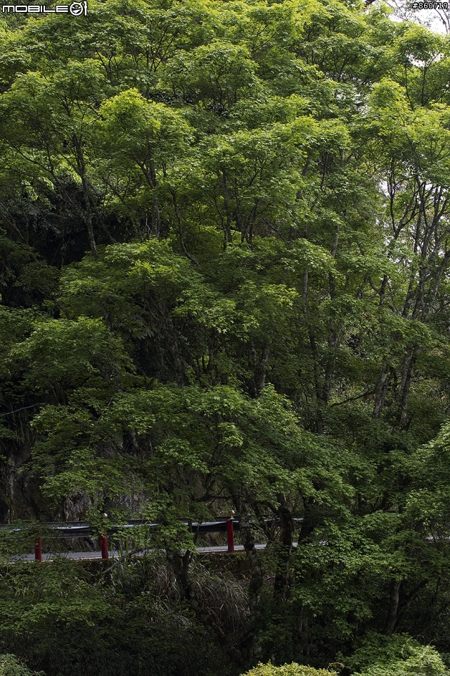 神秘客山路大蒐集--台灣8字型山線環島五日遊