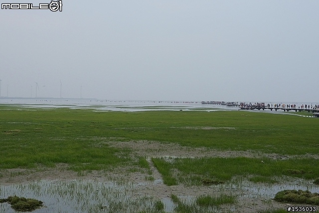 高美濕地半日遊