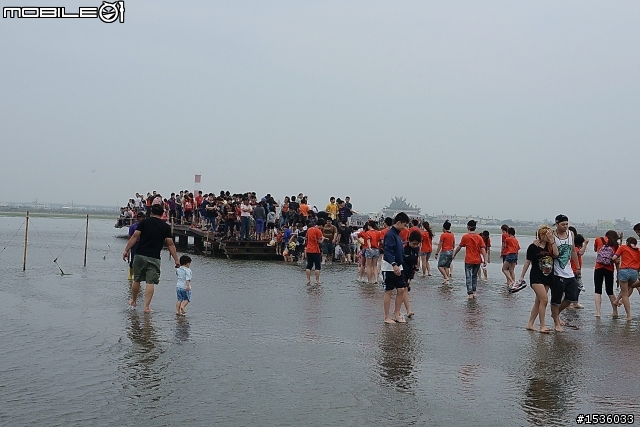 高美濕地半日遊