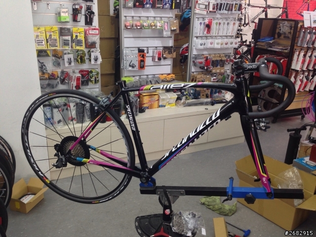 Specialized allez E5彩虹版 開箱囉