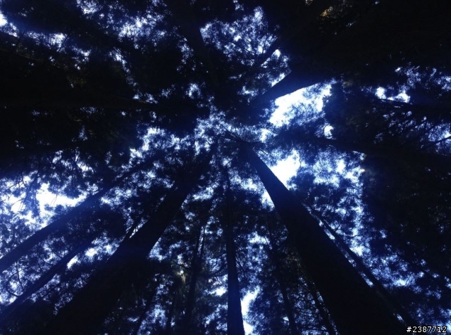臺灣縱騎-中橫支線+中橫+合歡山+武嶺+新中橫+阿里山