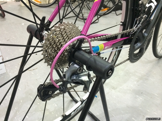 Specialized allez E5彩虹版 開箱囉