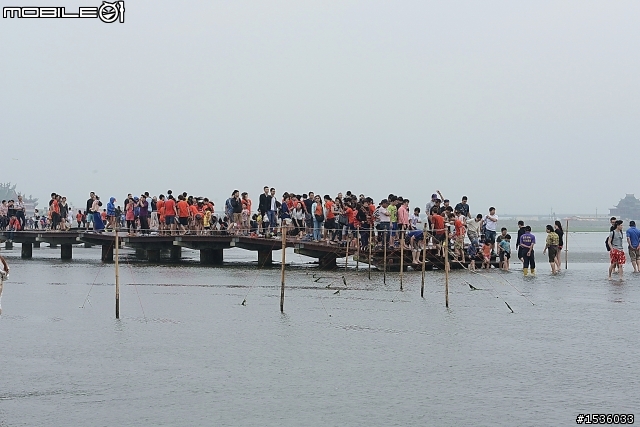 高美濕地半日遊