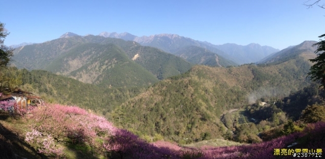 臺灣縱騎-中橫支線+中橫+合歡山+武嶺+新中橫+阿里山