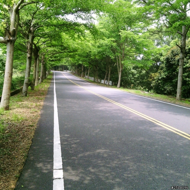 『路線分享』怕曬的淑女之花壇虎山巖+139縣道。