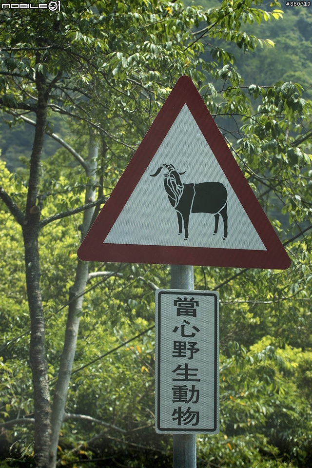 神秘客山路大蒐集--台灣8字型山線環島五日遊
