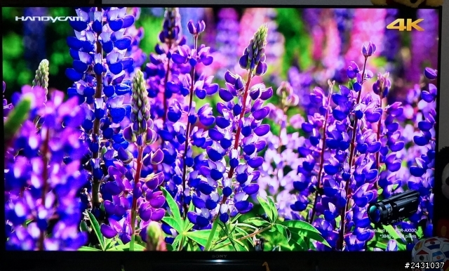 (開箱)便宜高畫質Sony BRAVIA 50W800B