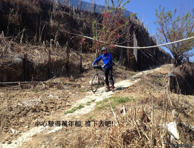 臺灣縱騎-中橫支線+中橫+合歡山+武嶺+新中橫+阿里山