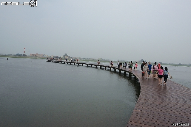 高美濕地半日遊