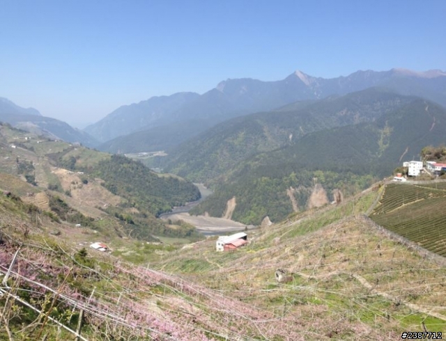 臺灣縱騎-中橫支線+中橫+合歡山+武嶺+新中橫+阿里山