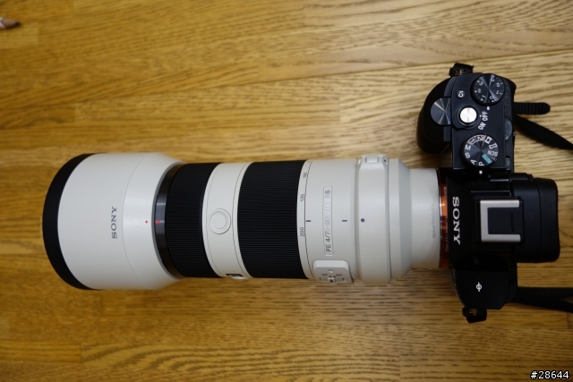 SONY FE 70-200mm F4 G OSS 新手簡單開箱