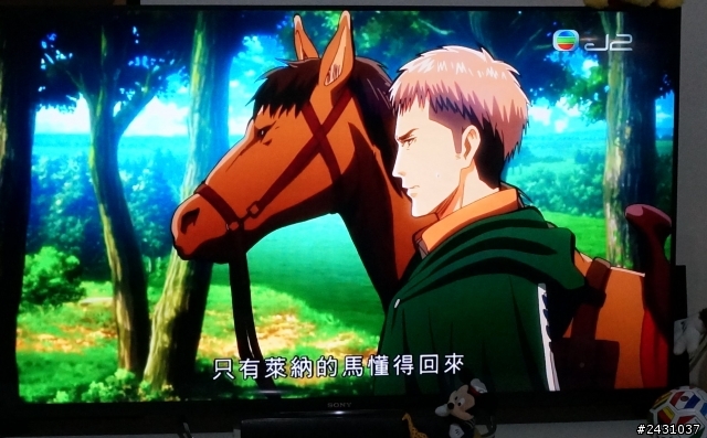 (開箱)便宜高畫質Sony BRAVIA 50W800B