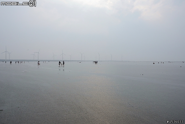 高美濕地半日遊