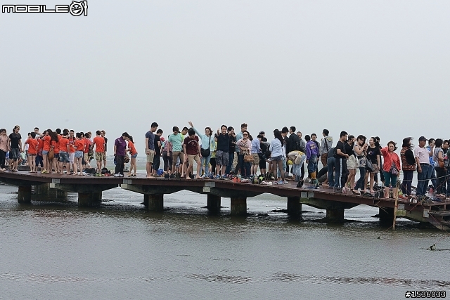 高美濕地半日遊