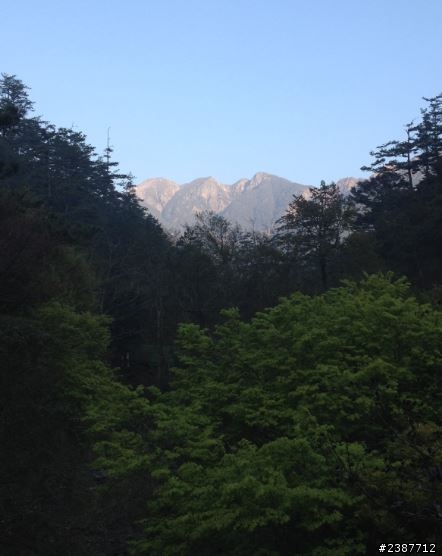 臺灣縱騎-中橫支線+中橫+合歡山+武嶺+新中橫+阿里山