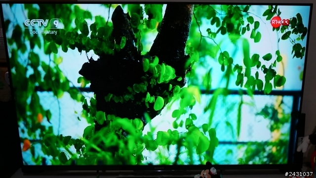 (開箱)便宜高畫質Sony BRAVIA 50W800B
