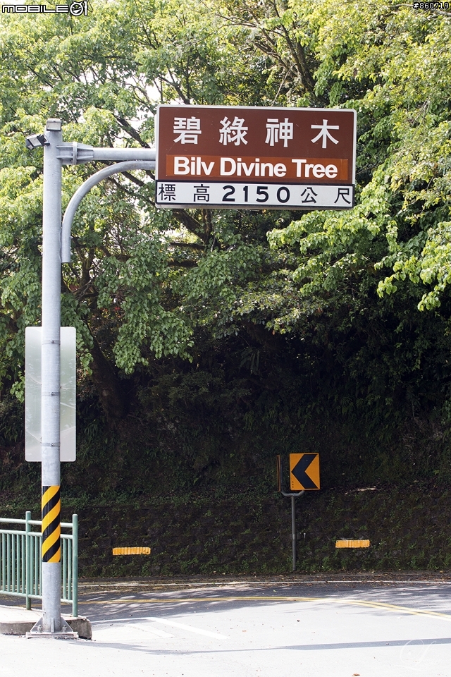 神秘客山路大蒐集--台灣8字型山線環島五日遊